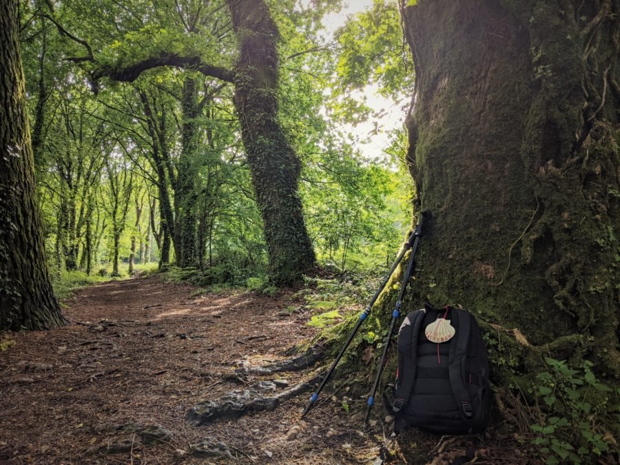 El-Camino-Portugues-Camino-de-Santiago-e1619548245935